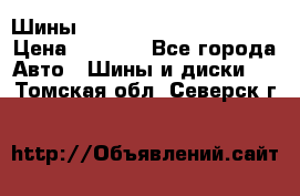 Шины bridgestone potenza s 2 › Цена ­ 3 000 - Все города Авто » Шины и диски   . Томская обл.,Северск г.